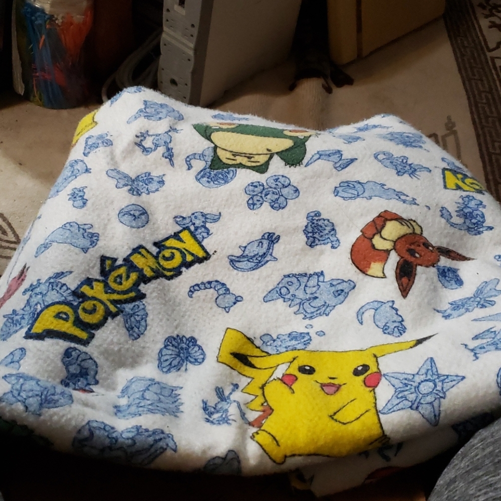 Vintage Pokemon blanket.
